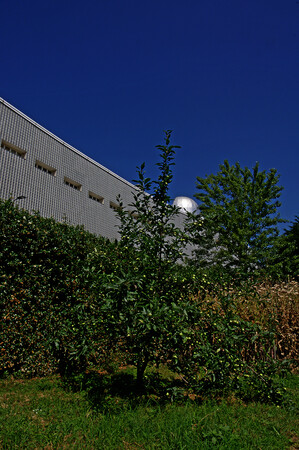 Orto botanico di Città Studi