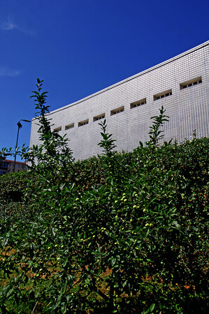 Orto botanico di Città Studi