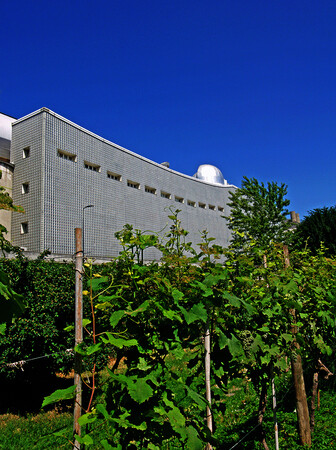 Orto botanico di Città Studi