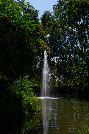 Orto botanico di Città Studi