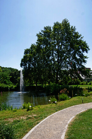 Orto botanico di Città Studi