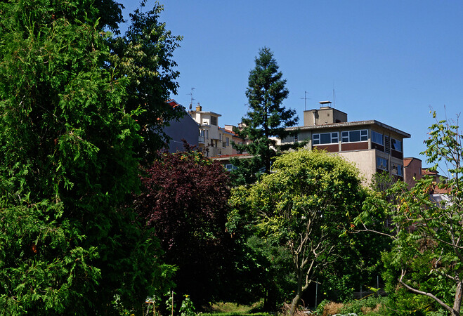 Orto botanico di Città Studi