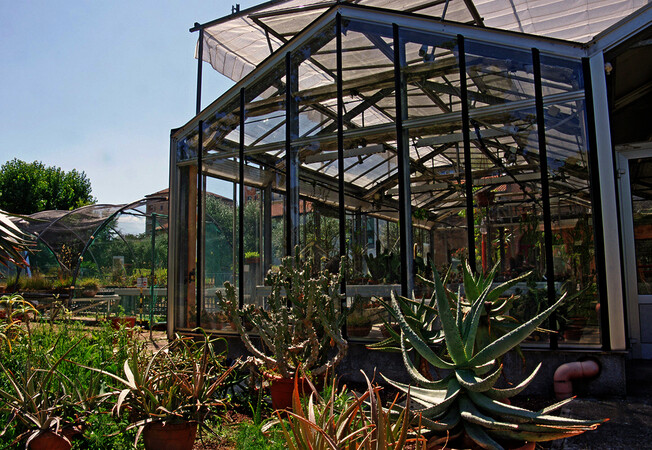 Orto botanico di Città Studi