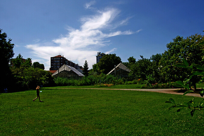 Orto botanico di Città Studi