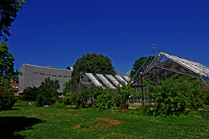 Orto botanico di Città Studi