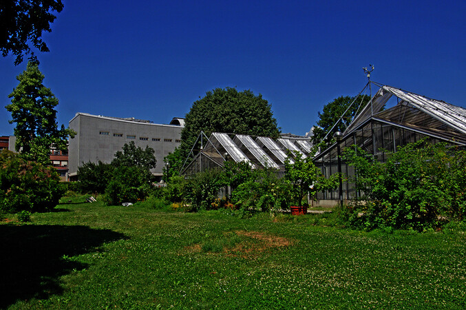 Orto botanico di Città Studi