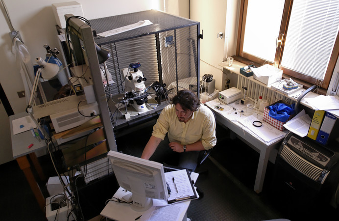 Laboratorio di Neurofisiologia