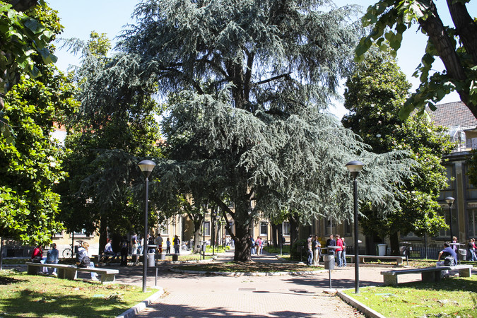 Scienze Agrarie e Ambientali