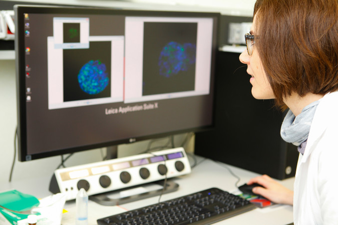 Laboratori di Scienze Biomediche e Cliniche