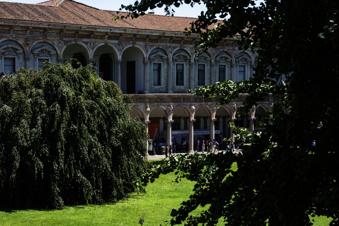 Rigogliosa vegetazione nel Cortile d'onore dell'Ateneo