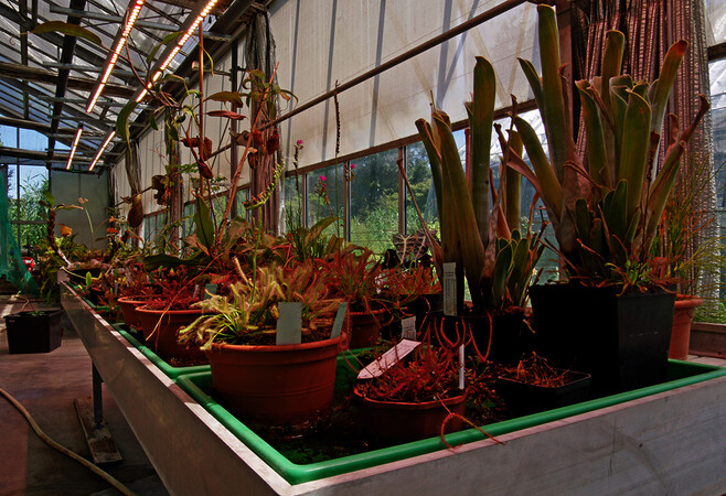 Orto botanico di Città Studi