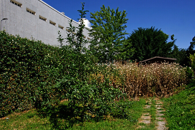 Orto botanico di Città Studi